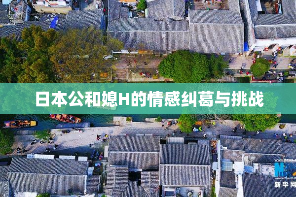 日本公和媳H的情感纠葛与挑战