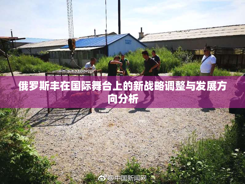 俄罗斯丰在国际舞台上的新战略调整与发展方向分析
