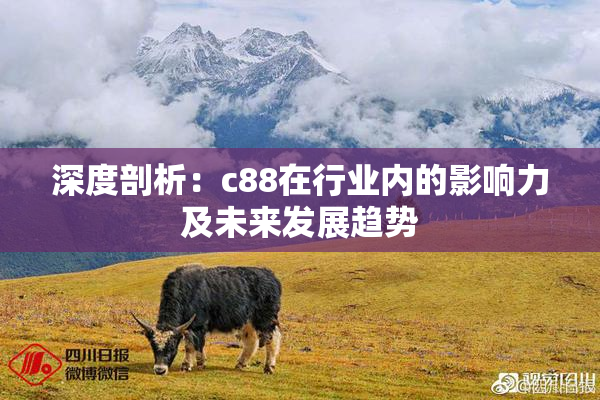 深度剖析：c88在行业内的影响力及未来发展趋势