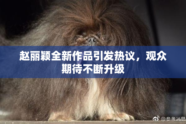 赵丽颖全新作品引发热议，观众期待不断升级