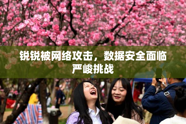 锐锐被网络攻击，数据安全面临严峻挑战