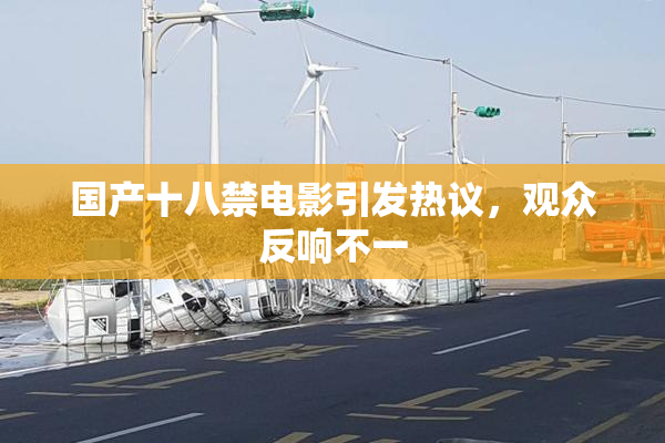 国产十八禁电影引发热议，观众反响不一