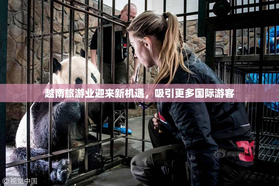 越南旅游业迎来新机遇，吸引更多国际游客