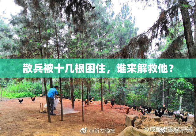 散兵被十几根困住，谁来解救他？