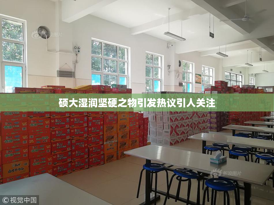 硕大湿润坚硬之物引发热议引人关注