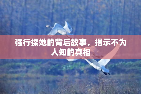 强行揉她的背后故事，揭示不为人知的真相