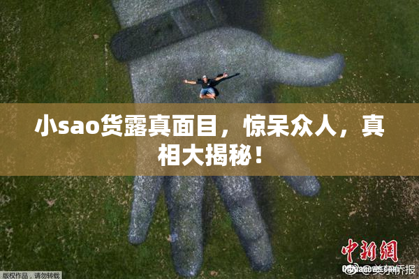 小sao货露真面目，惊呆众人，真相大揭秘！