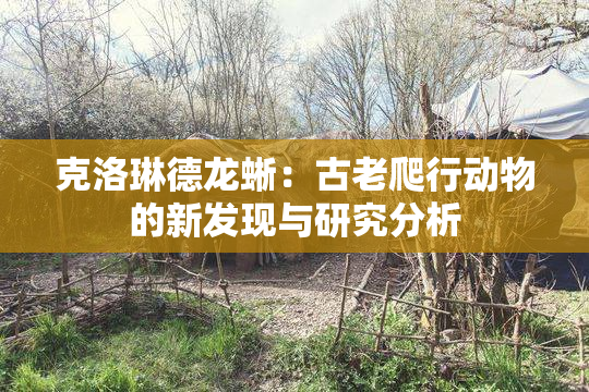 克洛琳德龙蜥：古老爬行动物的新发现与研究分析