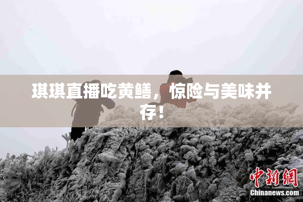 琪琪直播吃黄鳝，惊险与美味并存！
