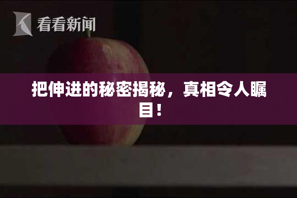 把伸进的秘密揭秘，真相令人瞩目！