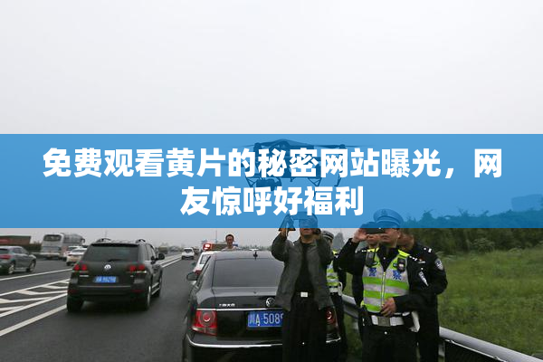 免费观看黄片的秘密网站曝光，网友惊呼好福利