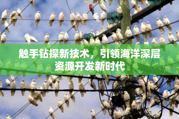 触手钻探新技术，引领海洋深层资源开发新时代