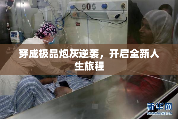 穿成极品炮灰逆袭，开启全新人生旅程