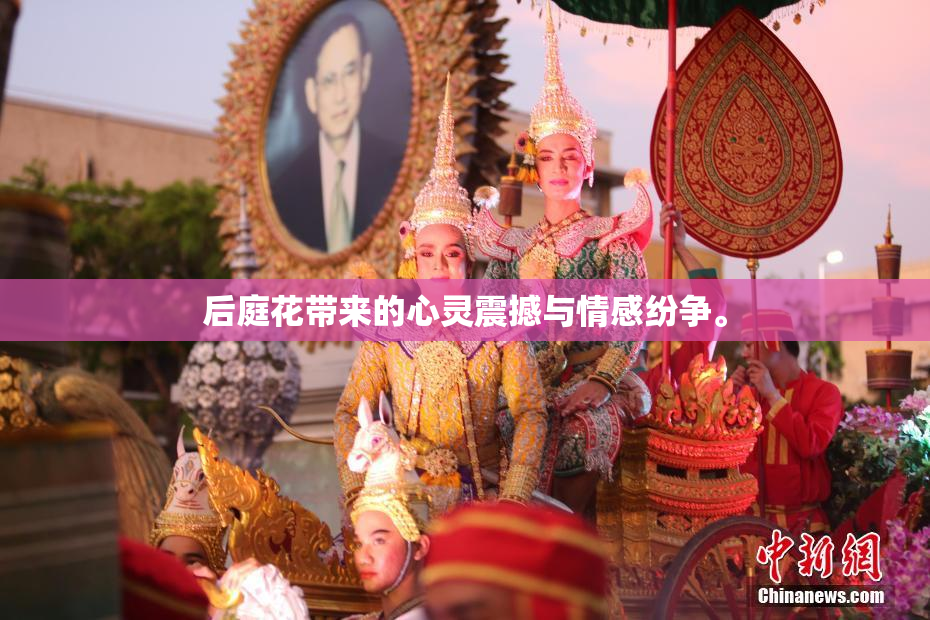 后庭花带来的心灵震撼与情感纷争。