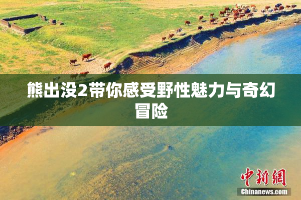 熊出没2带你感受野性魅力与奇幻冒险