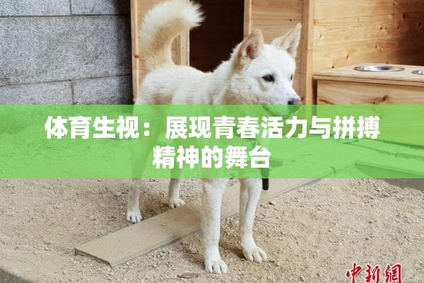 体育生视：展现青春活力与拼搏精神的舞台