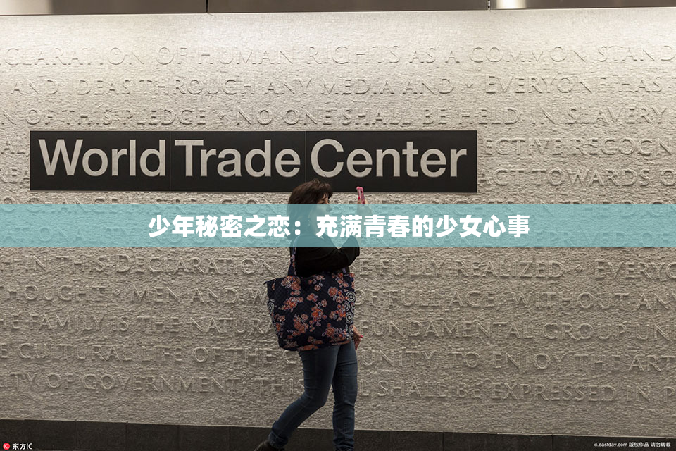 少年秘密之恋：充满青春的少女心事