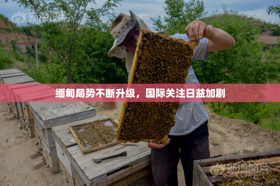 缅甸局势不断升级，国际关注日益加剧