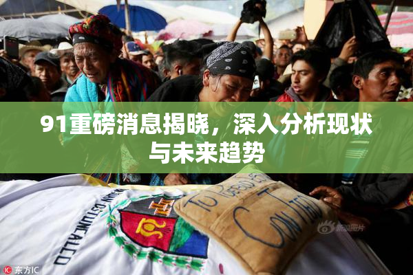 91重磅消息揭晓，深入分析现状与未来趋势