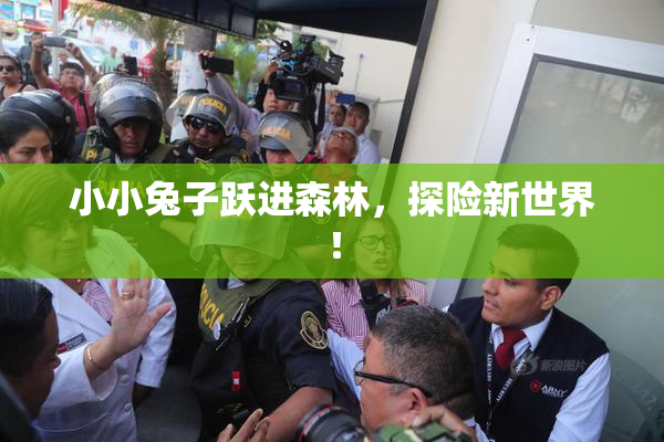小小兔子跃进森林，探险新世界！