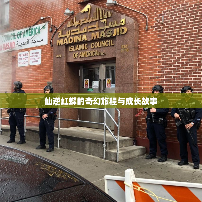 仙逆红蝶的奇幻旅程与成长故事