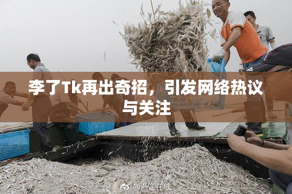 李了Tk再出奇招，引发网络热议与关注