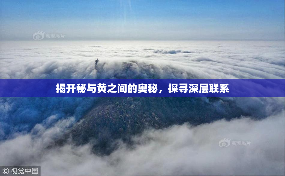 揭开秘与黄之间的奥秘，探寻深层联系