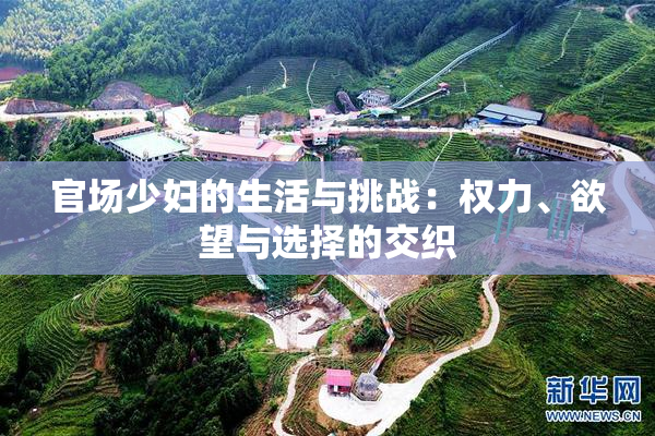 官场少妇的生活与挑战：权力、欲望与选择的交织