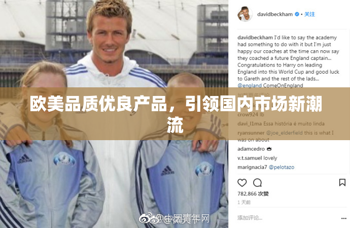 欧美品质优良产品，引领国内市场新潮流