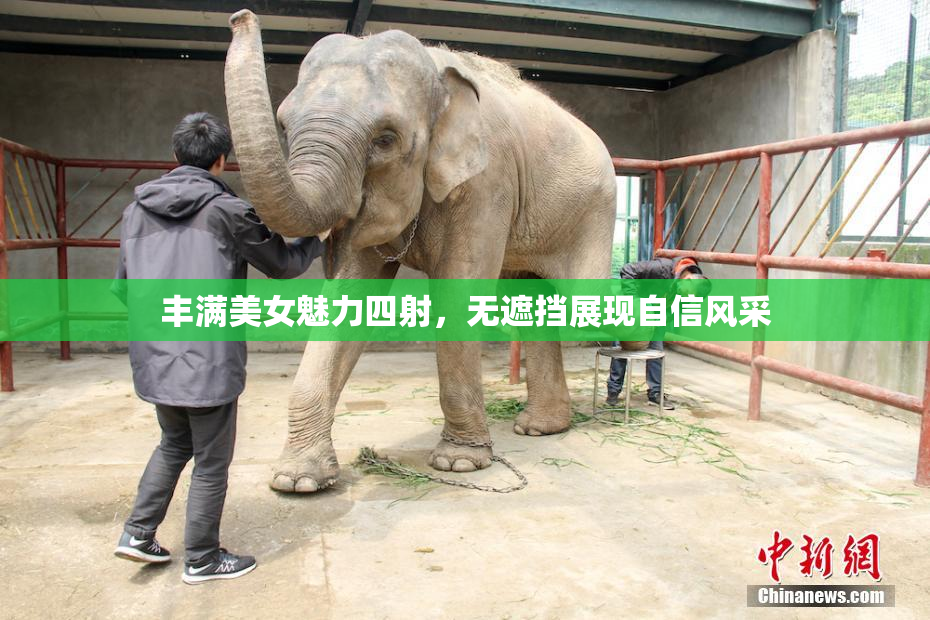 丰满美女魅力四射，无遮挡展现自信风采