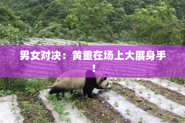 男女对决：黄重在场上大展身手！