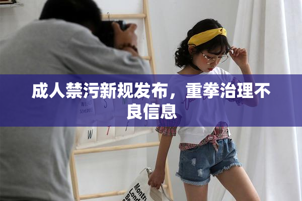 成人禁污新规发布，重拳治理不良信息