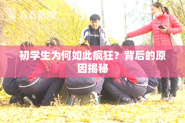 初学生为何如此疯狂？背后的原因揭秘