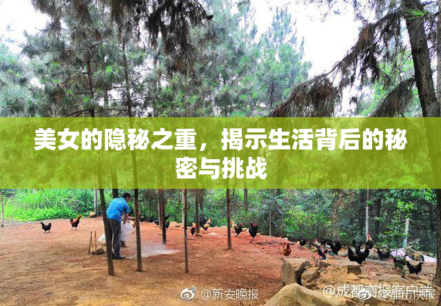 美女的隐秘之重，揭示生活背后的秘密与挑战