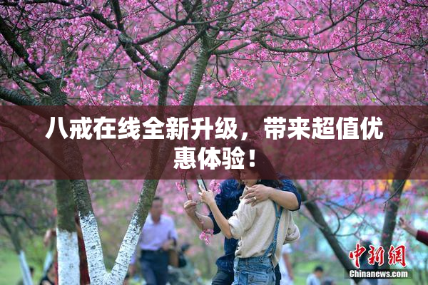 八戒在线全新升级，带来超值优惠体验！