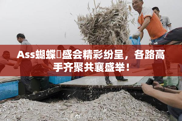 Ass蝴蝶泬盛会精彩纷呈，各路高手齐聚共襄盛举！