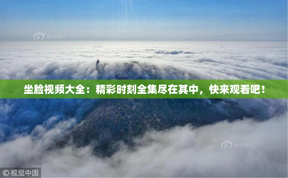 坐脸视频大全：精彩时刻全集尽在其中，快来观看吧！