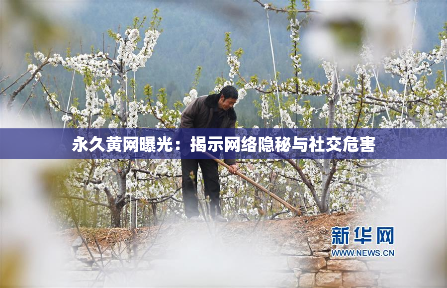 永久黄网曝光：揭示网络隐秘与社交危害