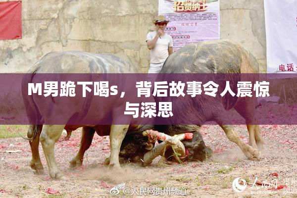 M男跪下喝s，背后故事令人震惊与深思