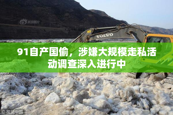 91自产国偷，涉嫌大规模走私活动调查深入进行中