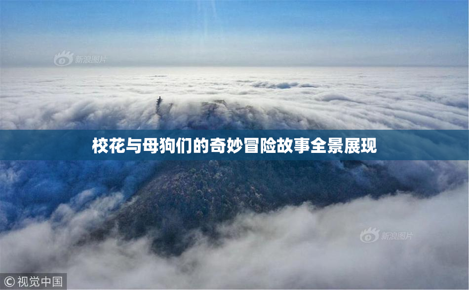 校花与母狗们的奇妙冒险故事全景展现
