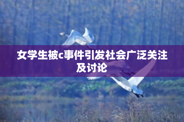 女学生被c事件引发社会广泛关注及讨论