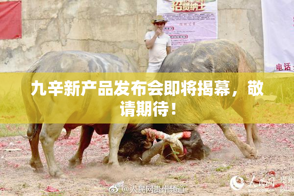 九辛新产品发布会即将揭幕，敬请期待！