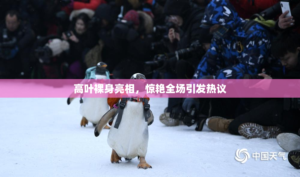 高叶裸身亮相，惊艳全场引发热议