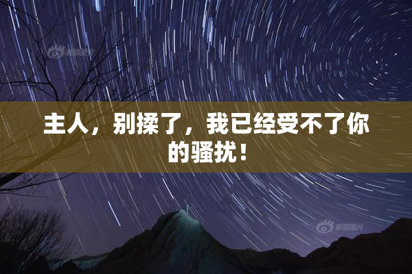 主人，别揉了，我已经受不了你的骚扰！