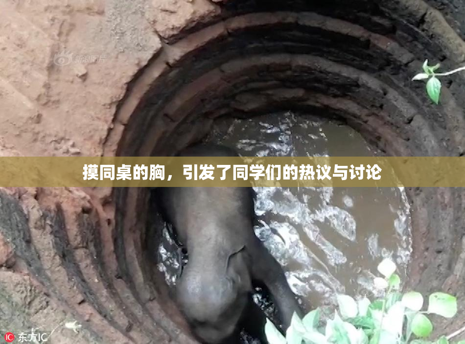 摸同桌的胸，引发了同学们的热议与讨论