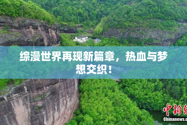 综漫世界再现新篇章，热血与梦想交织！