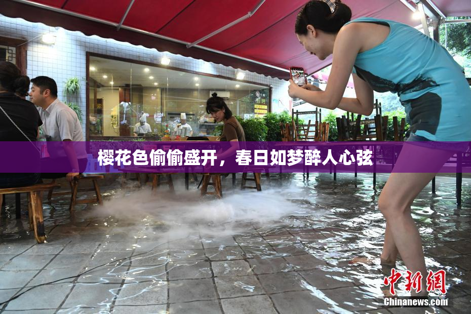 樱花色偷偷盛开，春日如梦醉人心弦