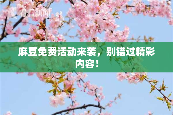 麻豆免费活动来袭，别错过精彩内容！