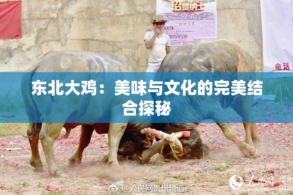 东北大鸡：美味与文化的完美结合探秘